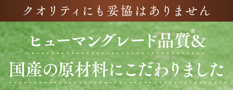 鶏レバー(九州産)