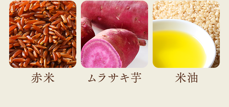 鶏レバー(九州産)