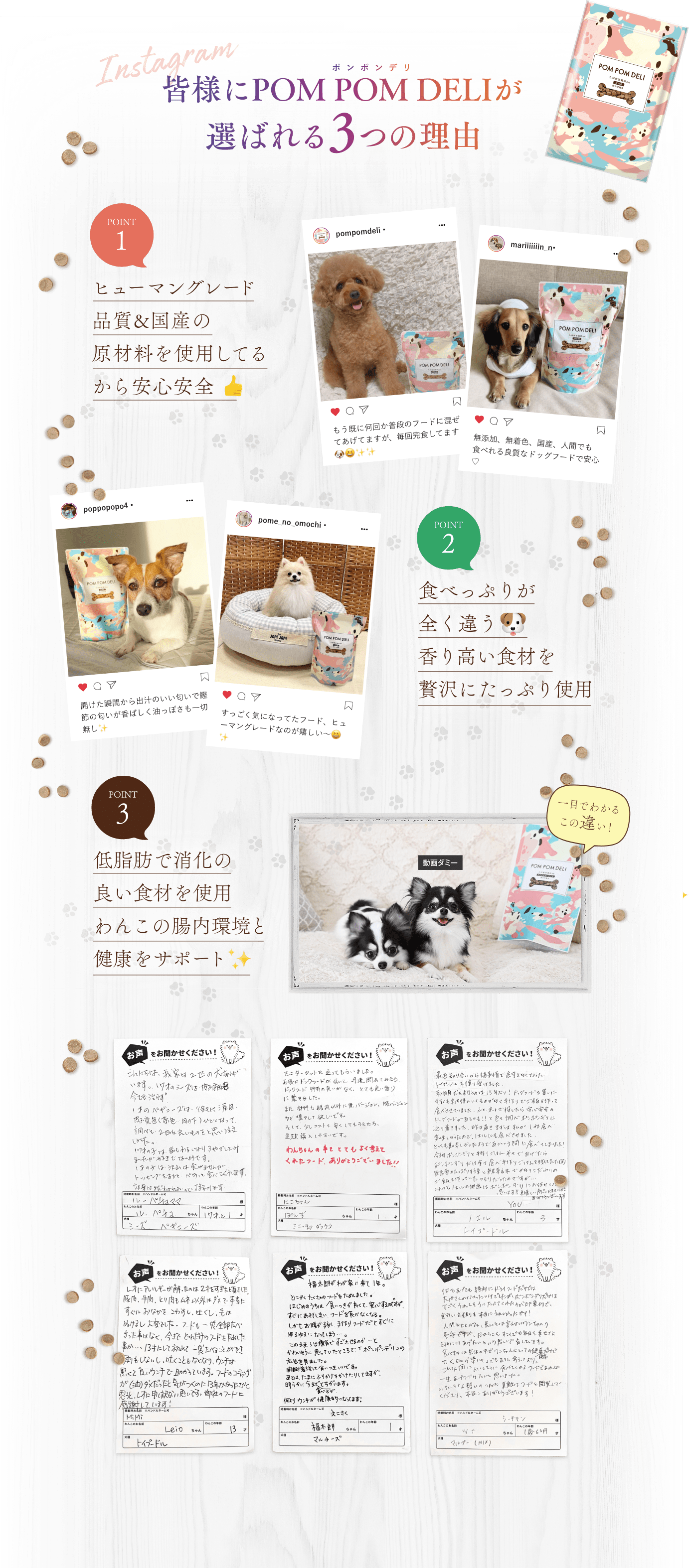 獣医師も大注目!