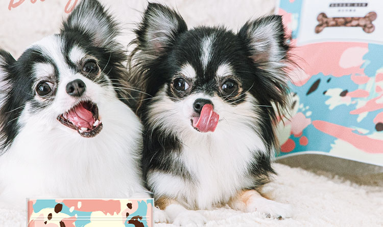 POM POM DELI(ポンポンデリ)