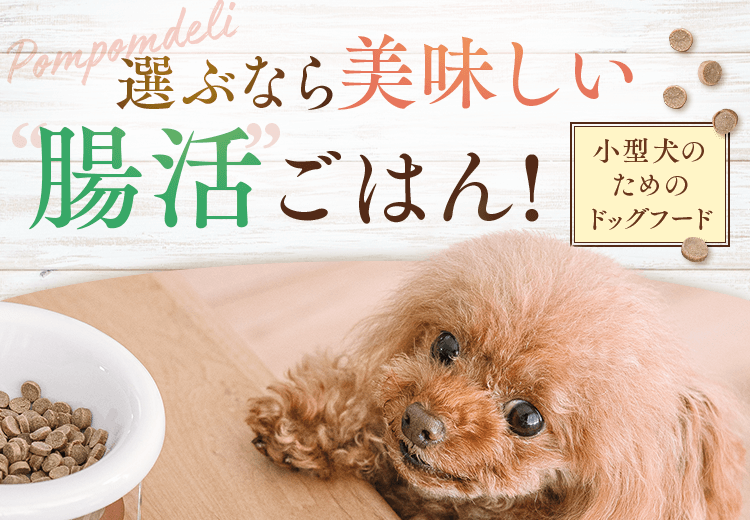 POM POM DELI(ポンポンデリ)半額お試しキャンペーン!