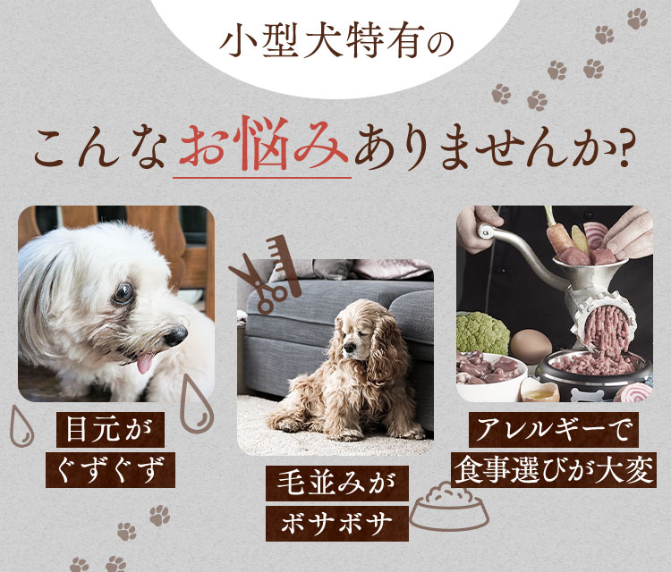 POM POM DELI(ポンポンデリ)