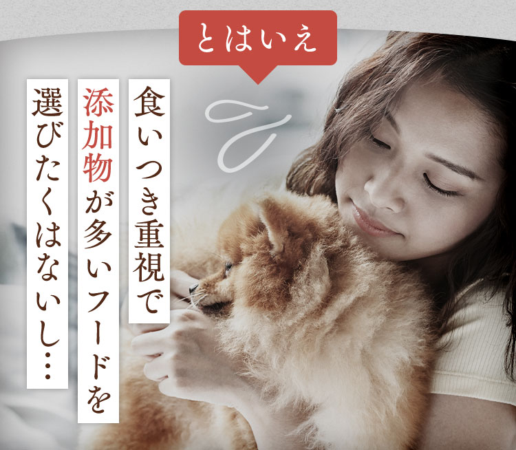 POM POM DELIドッグフード 818FXQdHOaL._UF350,350_QL50_.jpg
